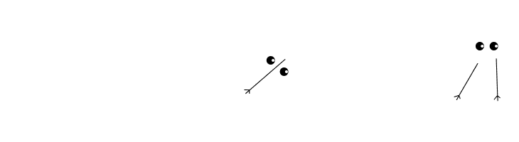 WildBirds  Скачать бесплатные шрифты