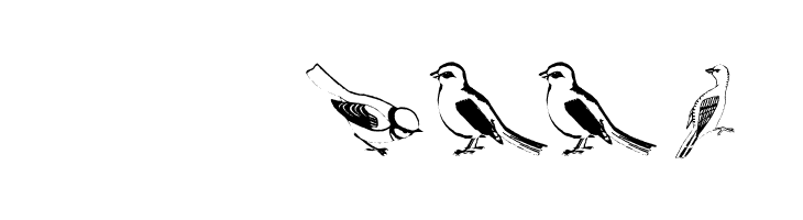 FlyWithMe  Скачать бесплатные шрифты