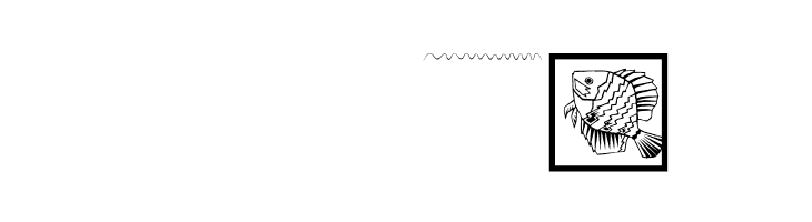 FischersFritze  Скачать бесплатные шрифты