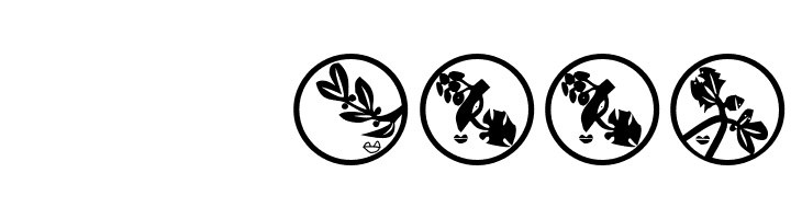 XmasImprovisations  Скачать бесплатные шрифты