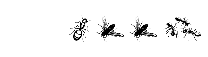 Insects07  Скачать бесплатные шрифты