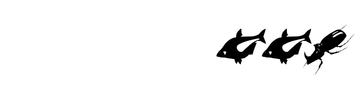 AnimalishSilhouettes  Скачать бесплатные шрифты