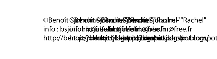 Rachel  Скачать бесплатные шрифты