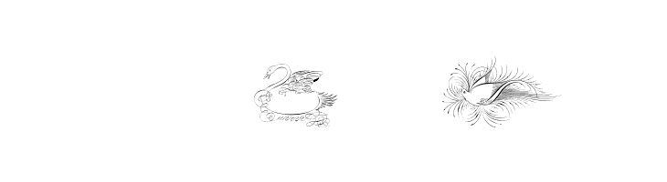 Penmanship Birds and Ornaments Free  Скачать бесплатные шрифты