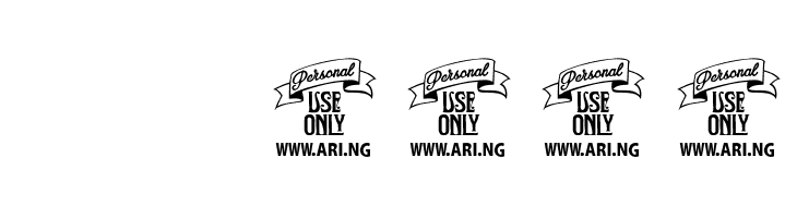 Graced Script PERSONAL USE  Скачать бесплатные шрифты