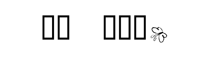 KR Butterfly  Скачать бесплатные шрифты