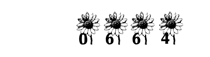 AEZ sunflower letters  Скачать бесплатные шрифты