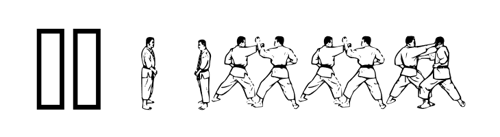 McCoy Dingbat Karate  Скачать бесплатные шрифты