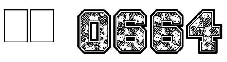 Cheer Lace Leader  Скачать бесплатные шрифты